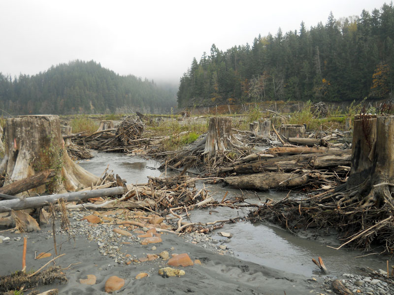 aldwellStumps