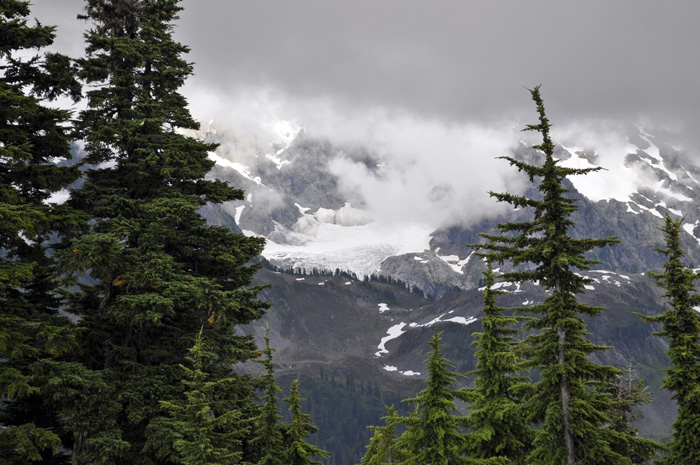 iceField1