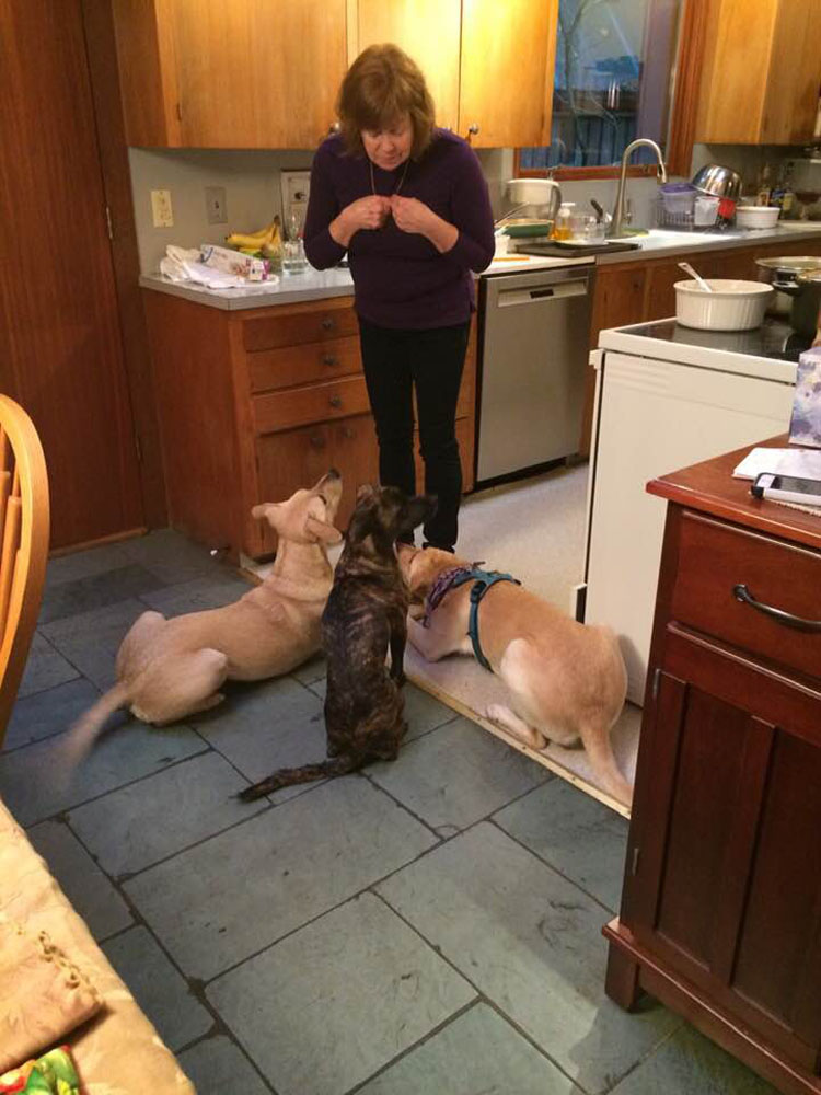 JanineThreeDogs
