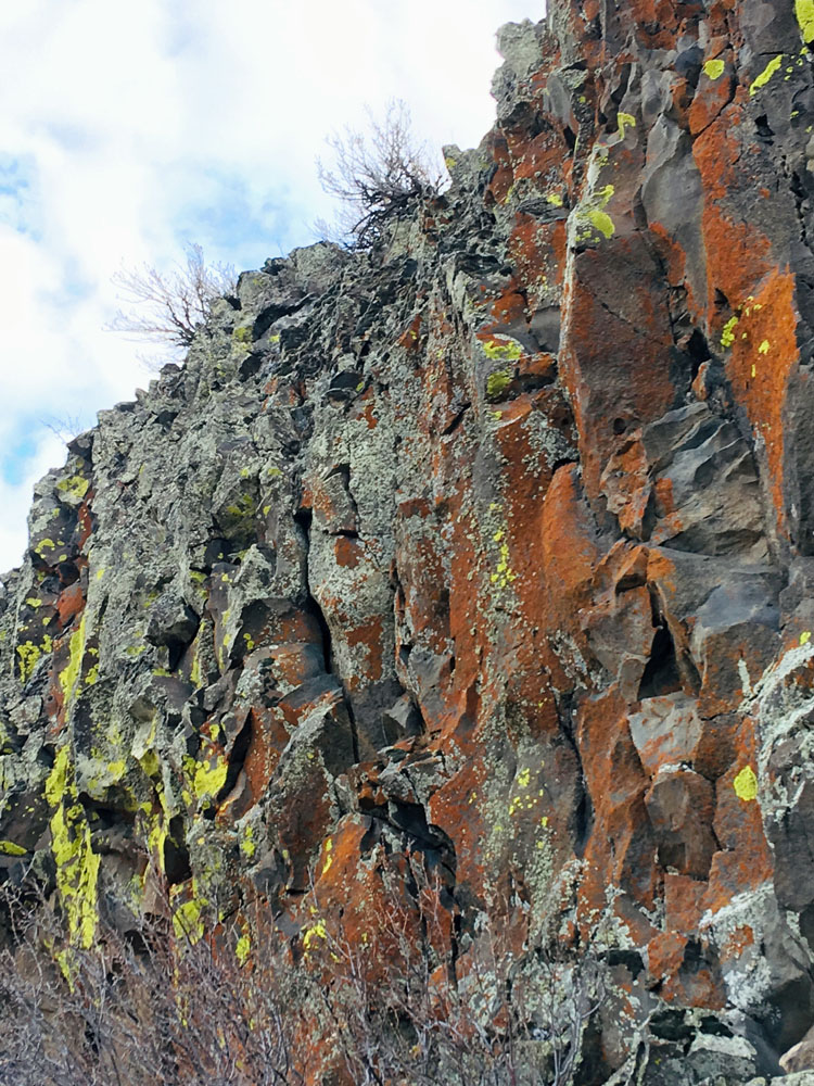 cavesLichen2