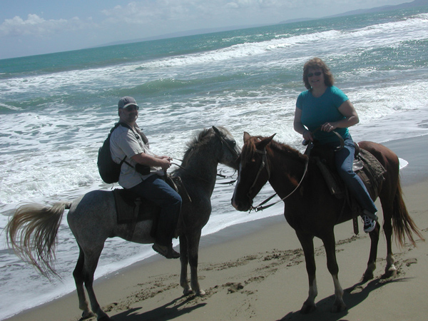 horseBoth4