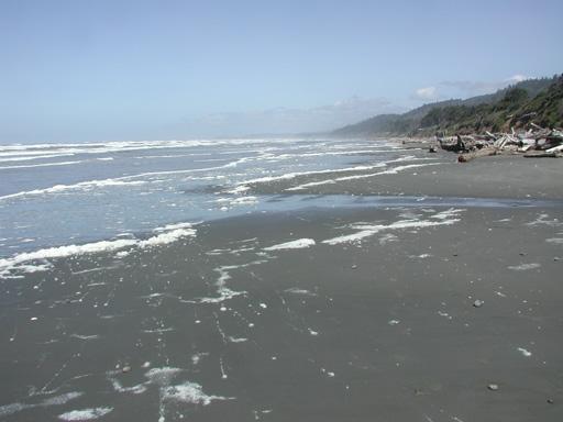 Kalaloch2