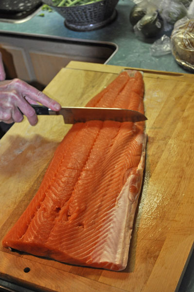 salmon